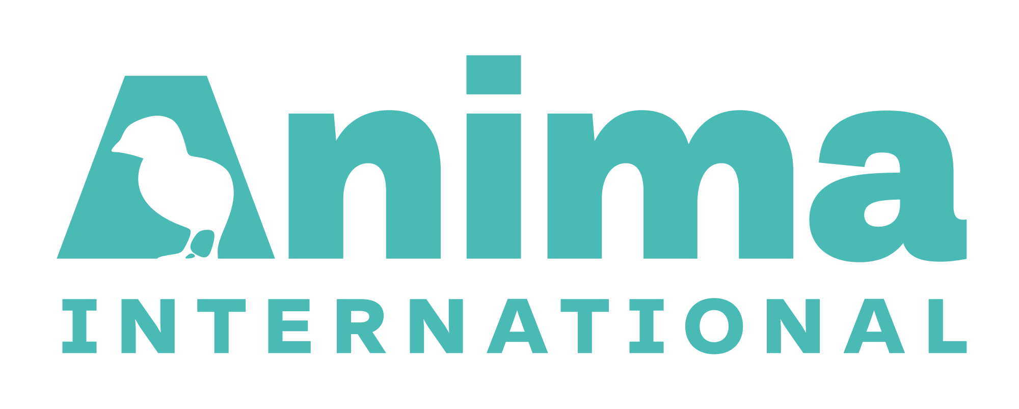 Anima International Logo